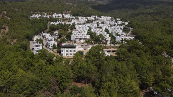 Vacation Site White Houses Forest Pine Aerial alt