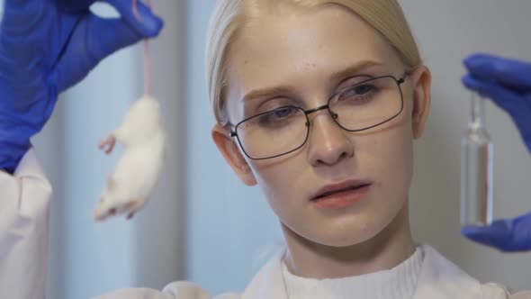 A Beautiful Woman Scientist in Strict Glasses Holds a White Mouse and an Ampoule with a Drug in Her