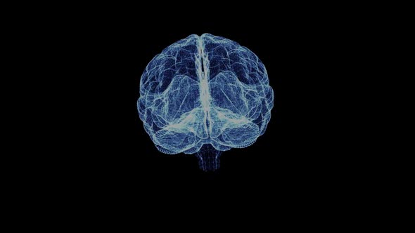 Hologram of the Human Brain alt
