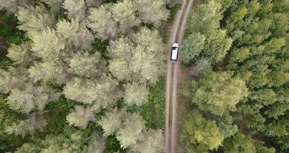 An aerial shot of a car from top alt
