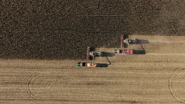 Two Combine Harvesters Transferring Freshly Harvested Corn to Tractor-Trailer for Transport alt