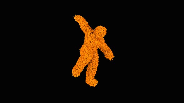 Redhead Hairy Dancing Dude alt