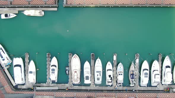 Viaduct Harbour, Auckland / New Zealand alt