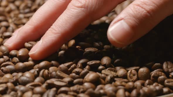 Human hand touches a roasted coffee beans