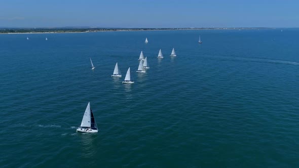 Yachts in a Sailing Race alt