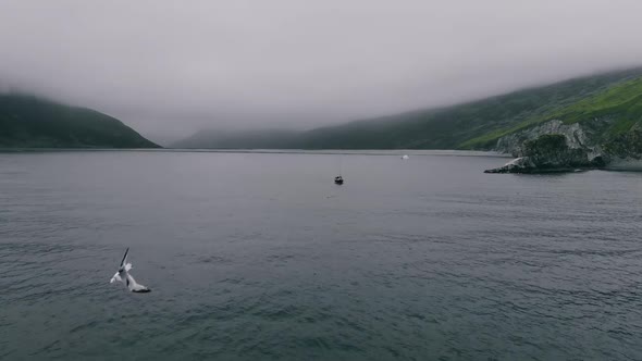 Small Ship or Boat Going Over Horizon Into Sea or Ocean. Sea Voyages Aerial View. Group Tours or alt