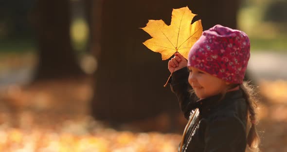 Pretty Little Girl in Black Jacket Looks at the Yellow Leaves and Rejoices in the Autumn Park