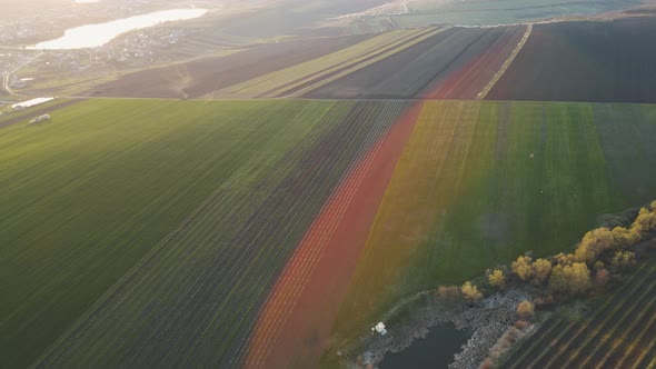 Aerial View of Wheat Fields Agricultural Land alt