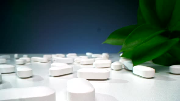 White Tablets Next To Green Leaf alt