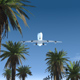 Aircraft landing at tropical airport Aircraft landing at tropical airport - VideoHive Item for Sale