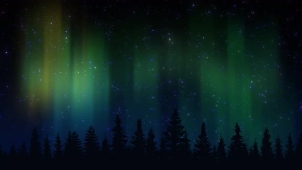 Northern Lights Over Forest Stars Night