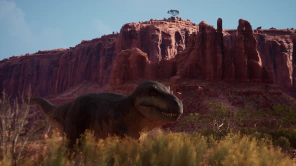Tyrannosaurus Walks Through the Jurassic Jungle The Age of Dinosaurs Trex on the Hunt 3d Rendering