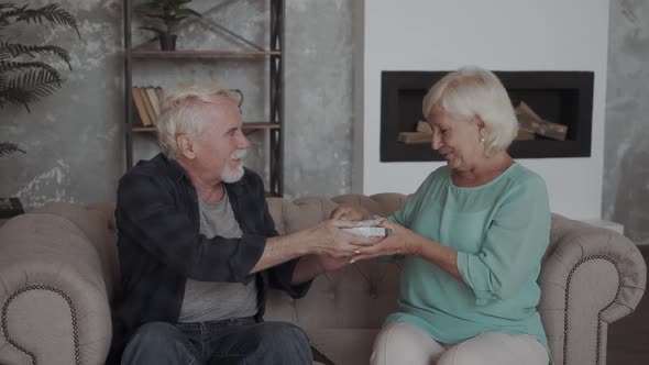 Joyful Couple Aged Sitting in Living Room on Comfy Couch, Careful Husband Giving Pink Gift Box alt