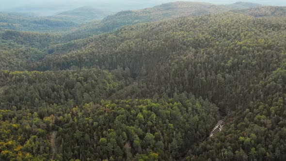 Drone footage flying high towards a ridge next to a winding forest stream. alt