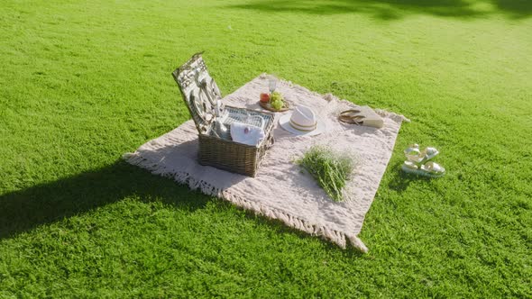 Picnic Basket on Green Lawn People Relax on Lawn in Central Park in New York alt