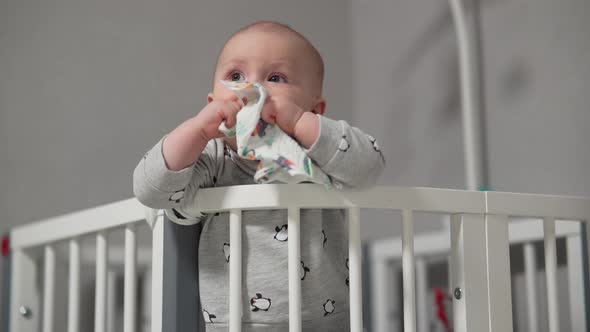 Baby Standing in a Crib at Home