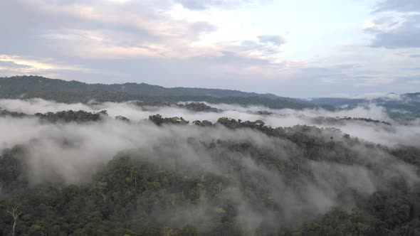 Aerial view of a tropical forest covered in fog after heavy rainfall alt