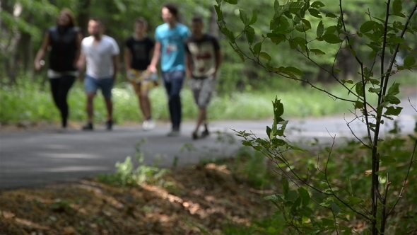 People Walking in the Woods 02