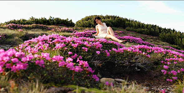 Peaceful Relaxation alt