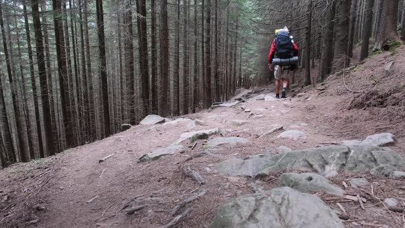 Tourist with a Backpack Goes Down the Stone Mountain Trail in the Forest alt