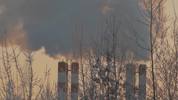 Industrial Landscape. Close-up Many Chimneys Release Black Smoke Into the Sky. Winter Bushes with alt