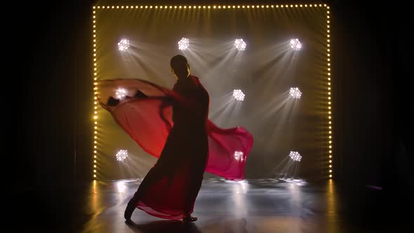 Silhouette a Young Girl Dancer in a Red Sari. Indian Folk Dance. Slow Motion. alt