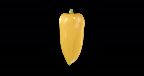 Yellow Pepper. Alpha Channel. Rotation