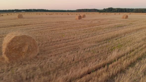 Scenic Landscape with Many Rolls of Straw on Farmland on a Warm Summer Evening alt