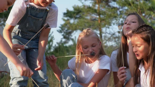A Group of Children Fry Marshmallows By the Fire They Have Fun at a Summer Camp for Children alt