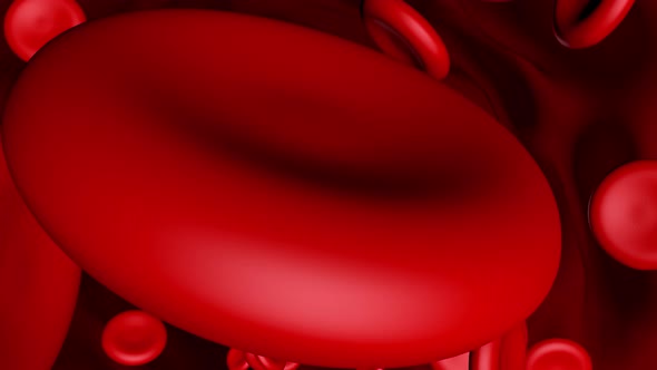 3D animation, hemoblogin cells flowing through the blood stream alt