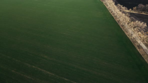 Aerial Drone Top View Flight Over Ground Land Road and Green Field alt