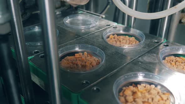 Plastic Boxes with Bread Crumbs Are Getting Covered with Foil. Packaging Process in Food Factory. alt