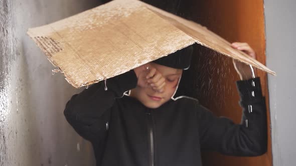 Homeless Boy Uses Cardboard to Shelter From the Rain