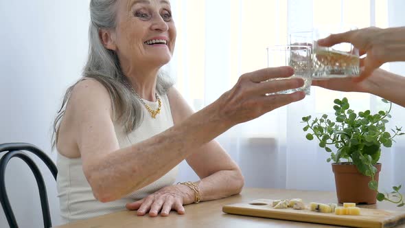 Female Portrait of Senior Mother Talking and Drinking Alcohol and Clinking Glasses at Home Sitting alt