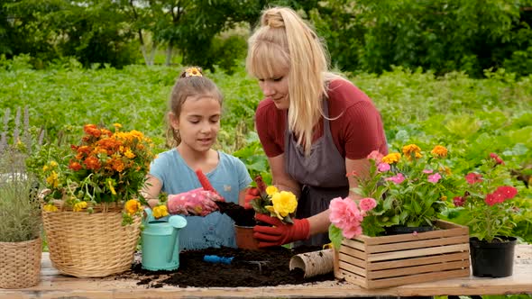 Mother and Daughter are Planting Flowers in the Garden alt