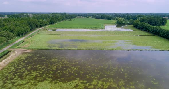 Aerial view of flooded floodplains of river Maas with trees, Megen, Netherlands. alt