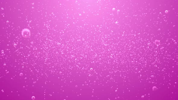 Sparse Pink Soda Bubbles Background with Loop