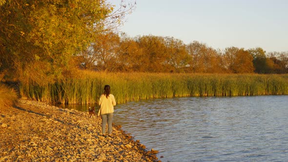 Caucasian woman walking with dog between golden wheat and trees beautiful nature sunrise landscape alt