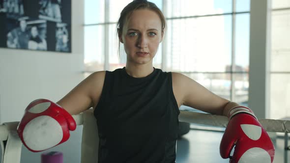 Portrait of Motivated Young Boxer Standing in Corner of Ring Looking at Camera alt