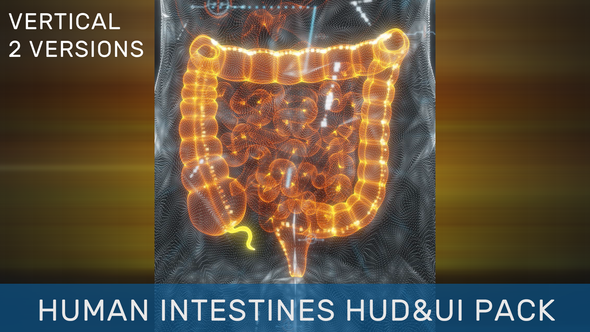 Human Intestines HUD UI Pack