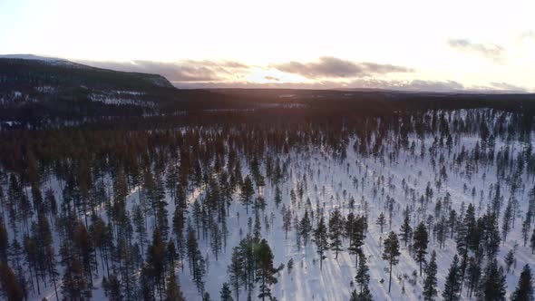Aerial Nordic Winter Landscape Flight Over Snow Mountain Forest on Sunset alt