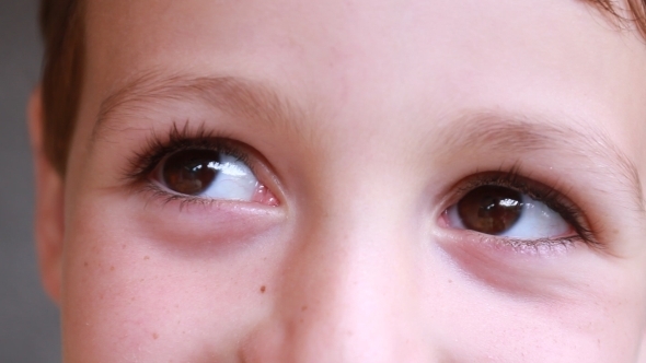 Brown Eyes of a Little Boy 01