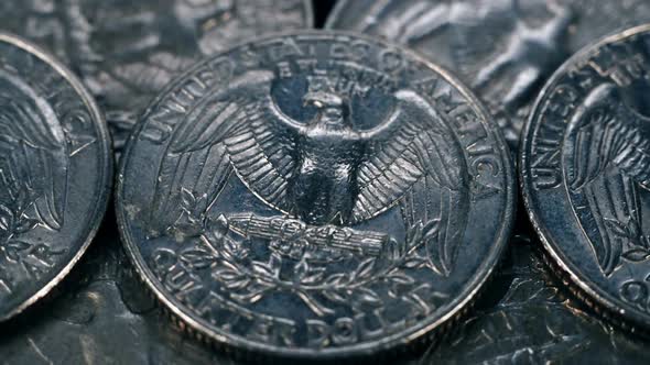 United States Quarter Dollar Coins