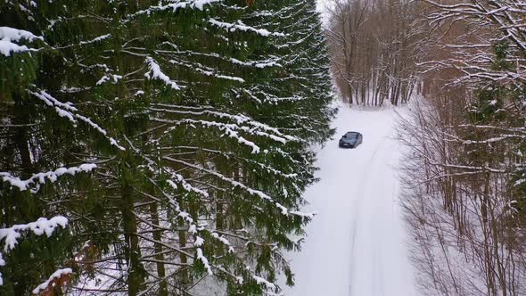 Snowy forest with car on road. Aerial view of car on winter road in the forest alt