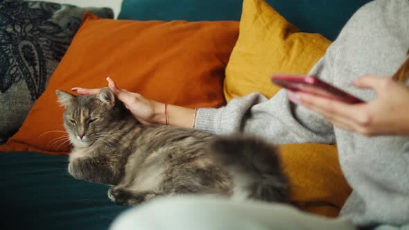 Woman Petting Cat and Using Smartphone alt
