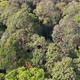 Aerial top down view in tropical jungle green rainforest. - VideoHive Item for Sale