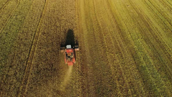 Harvester Reaping Oats on a Farm Field. Behind the Agricultural Machine ...