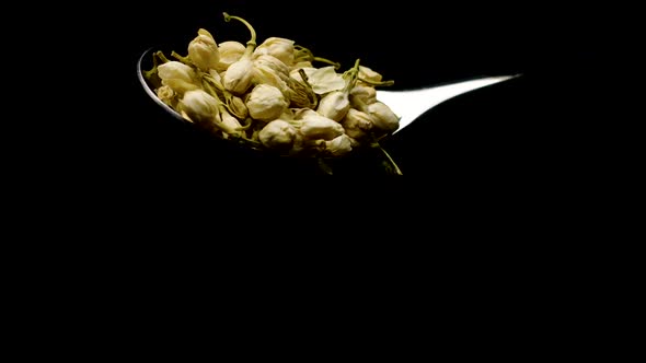 Dried White Flower Buds Falling Down From Teaspoon Isolated on Black Slow Mo