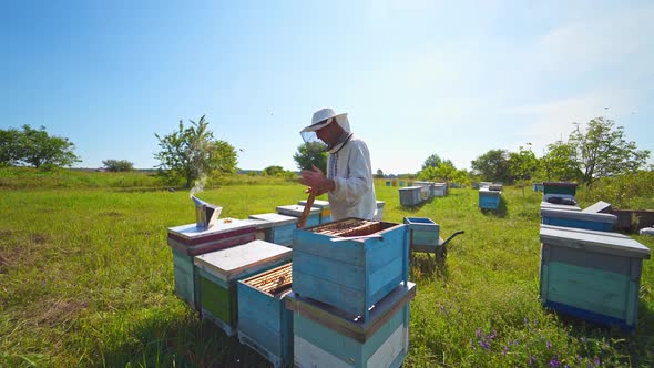 Beekeeper holds a honey frame with bees in hands alt