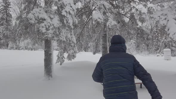 bench in the park after a snowstorm guy playing, minnesota winterwonderland alt